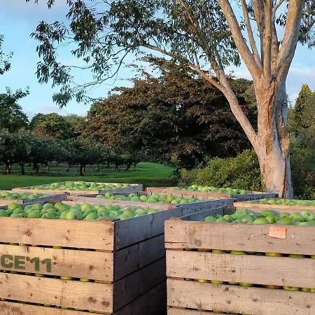 Apartmán Escape To Garden Haybarn Loft In Georgian Estate Cappoquin