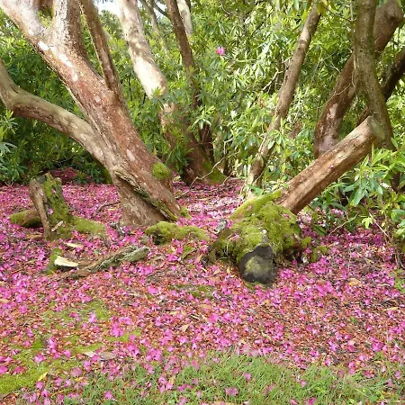 Appartement Escape To Garden Haybarn Loft In Georgian Estate *