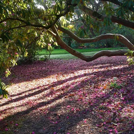 Escape To Garden Haybarn Loft In Georgian Estate Appartement *