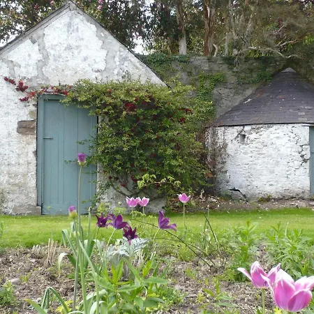 House Yard Flat *