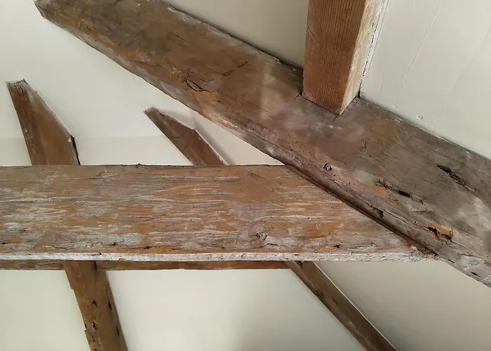 Escape To Garden Haybarn Loft In Georgian Estate * Cappoquin