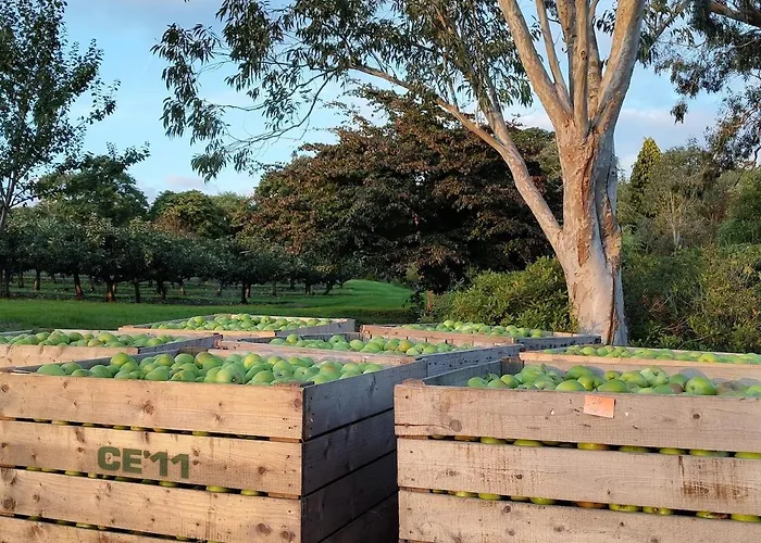 Appartement Escape To Garden Haybarn Loft In Georgian Estate Cappoquin