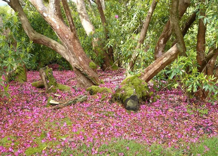Appartement Escape To Garden Haybarn Loft In Georgian Estate *